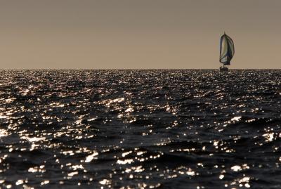 IMG_99014pb.jpg