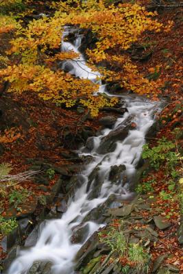 IMG_2470pb.jpg