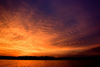 Img_0691pb.jpg