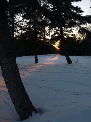 P2222236.jpg