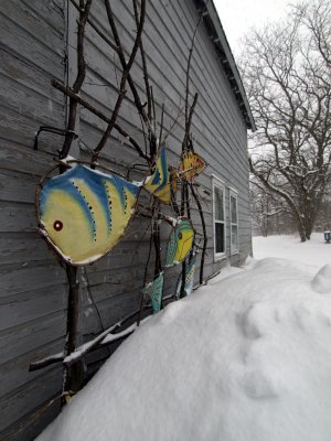 P2252259.jpg