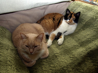 P2252265.jpg