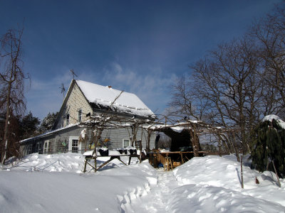 P2262273.jpg