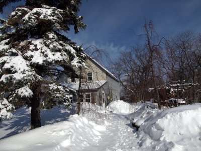 P2262277.jpg