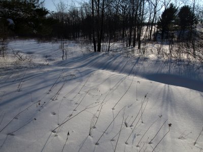 P2272297.jpg