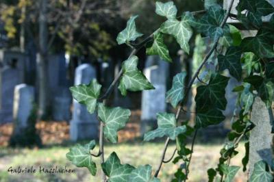 Zentralfriedhof 022.jpg