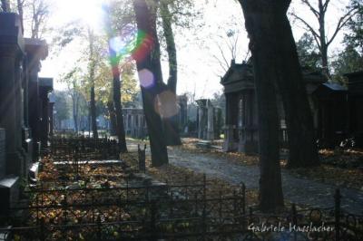 Zentralfriedhof 025.jpg