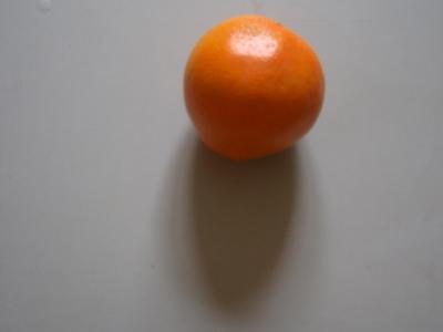 g4/76/313376/3/59496266.3.jpg