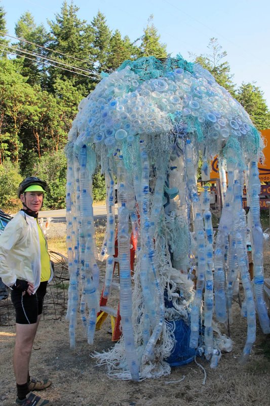 beach garbage jelly fish