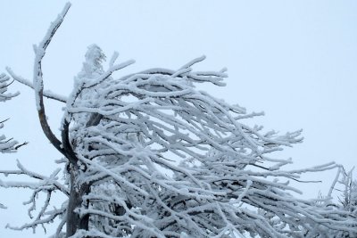 late snow on mt. hood - april 4