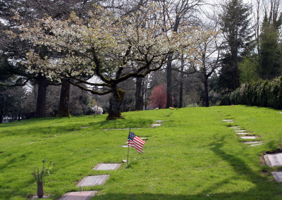 Spring in the Cemetery - April 18
