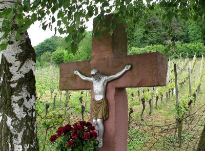 Cross and vineyard