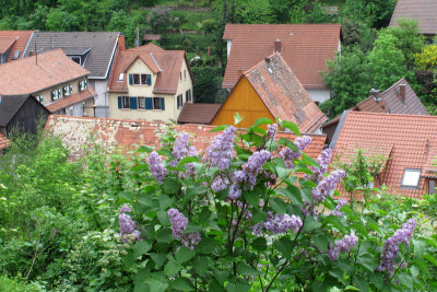 The roofs of Oberhambach