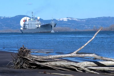Columbia Shipping