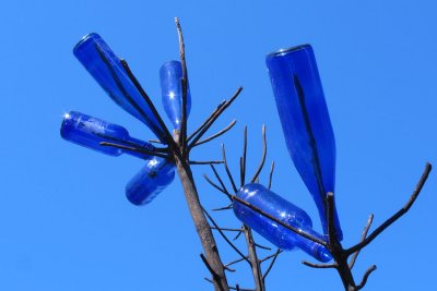 Blue Bottle Sky