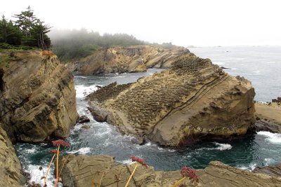 sunset bay state park