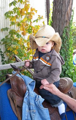 nascent cowboy