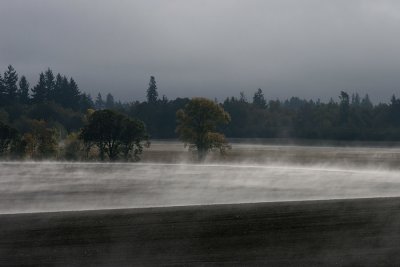 Fall fields