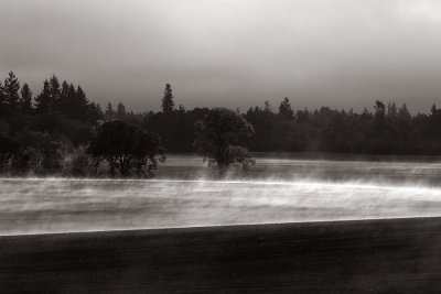 Fall fields in B&W