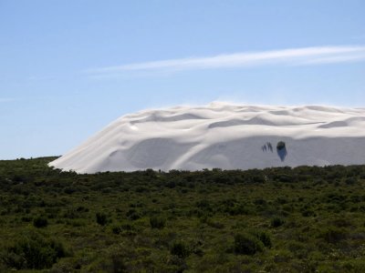 Dune tongue