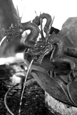 dragon fountain