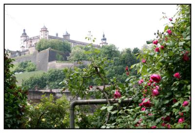 Roses and the castle