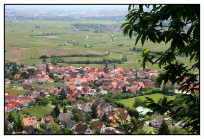 Albersweiler, Pfalz