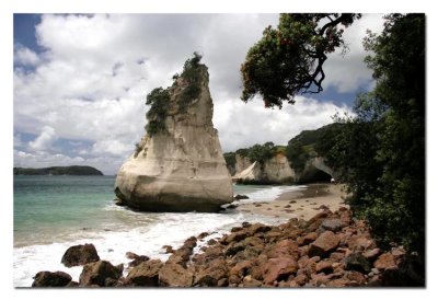cathedral cove sentinel