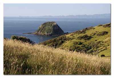 coromandel08