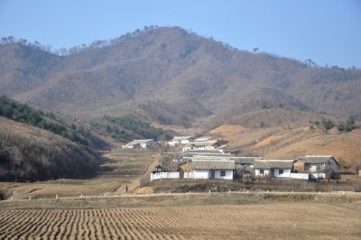 Pyongsong 4.jpg