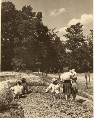 scan0016.jpg