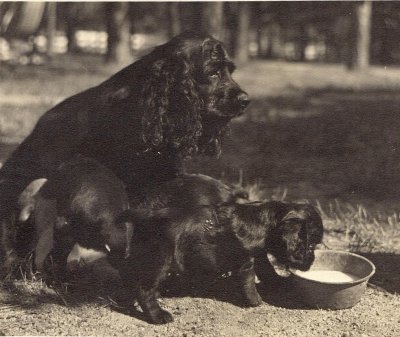 scan0021.jpg