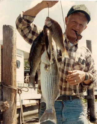 w series 51.jpg