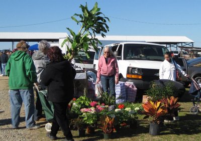 Davidson County Flea Market