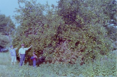 negatives 2 5.JPG