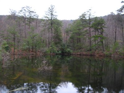 9 1.JPG