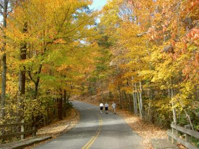 hangingrockwalk2 006.jpg