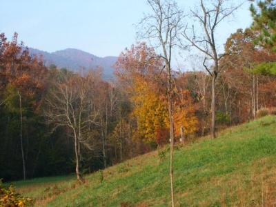 hangingrockwalk 005.jpg