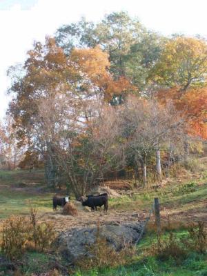 hangingrockwalk 020.jpg