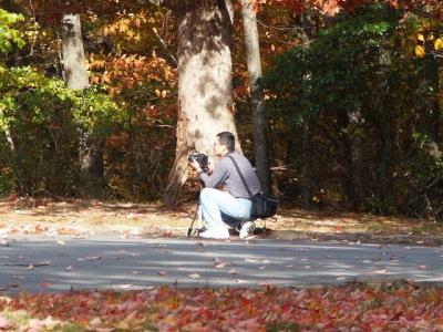 hangingrockwalk 027.jpg