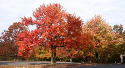 hangingrockwalk 028.jpg