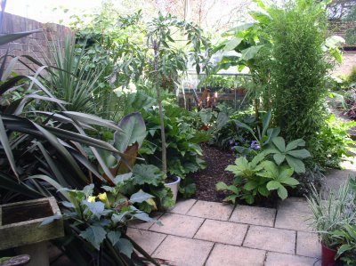 View to side greenhouse.jpg