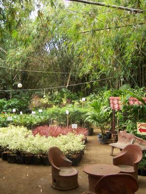 Garden centre - Philippine style