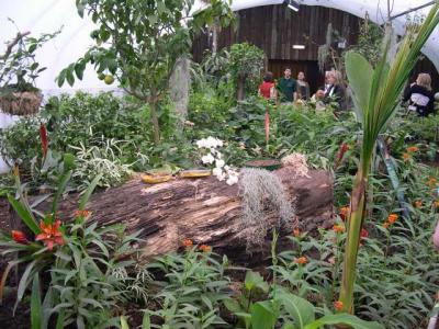 New butterfly exhibit