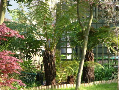 fernery