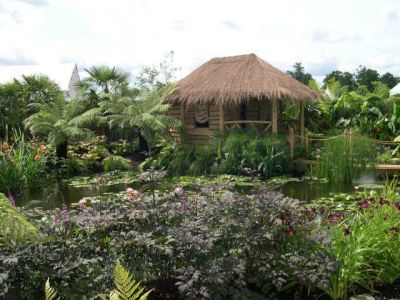 Tropical pond and hut
