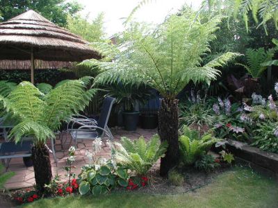 Dicks Garden in Thanet (UK)