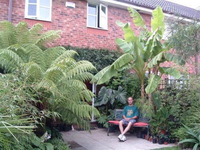 Exotic Gardening In Knotty Ash, Liverpool (UK)