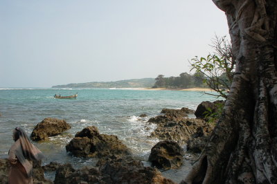 Pulau Manuk