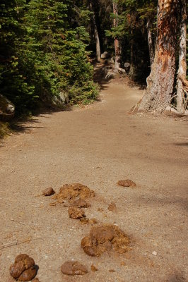 Littering the trail